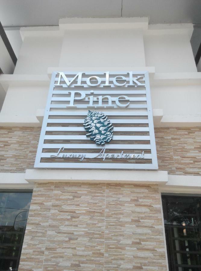 Molek Pine Homestay Johor Bahru